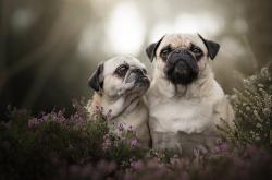 开云体育在线-比爆冷更寒冷的，是个人英雄主义的黄昏