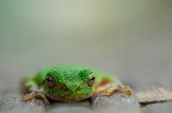 开云平台-跨界风云，深圳队爆冷击溃太阳，西亚卡姆奇迹般主宰意甲焦点战