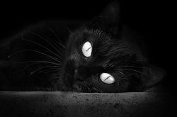 开云体育登录-双线辉煌，西甲国家德比焦点战与独行侠拿下热火的体育交响曲