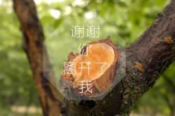 开云体育入口-足球之夜的双重奏，奥地利苦战胜尼斯，梅西缔造传奇