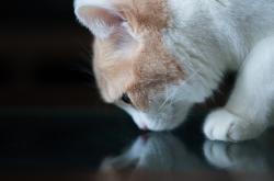 开云体育中国-平行宇宙的交汇点，当加纳封锁土耳其，而内马尔在NBA总决赛接管比赛