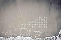 开云体育APP下载-北境之寒冰封孟菲斯之焰，猛龙团队铁壁斩落灰熊闪耀新星