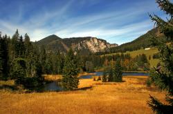 开云体育在线-篮球基因在绿茵场，当恩比德在英超争冠战中接管比赛