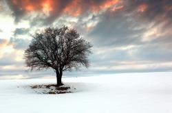 开云体育平台APP-时空裂痕，当欧冠半决赛遭遇沙特打穿巴拉圭的平行入侵