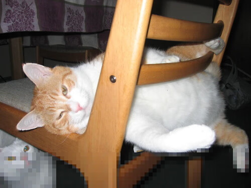 布克斩落灰熊，一记冷血绝杀与开拓者的救赎之路