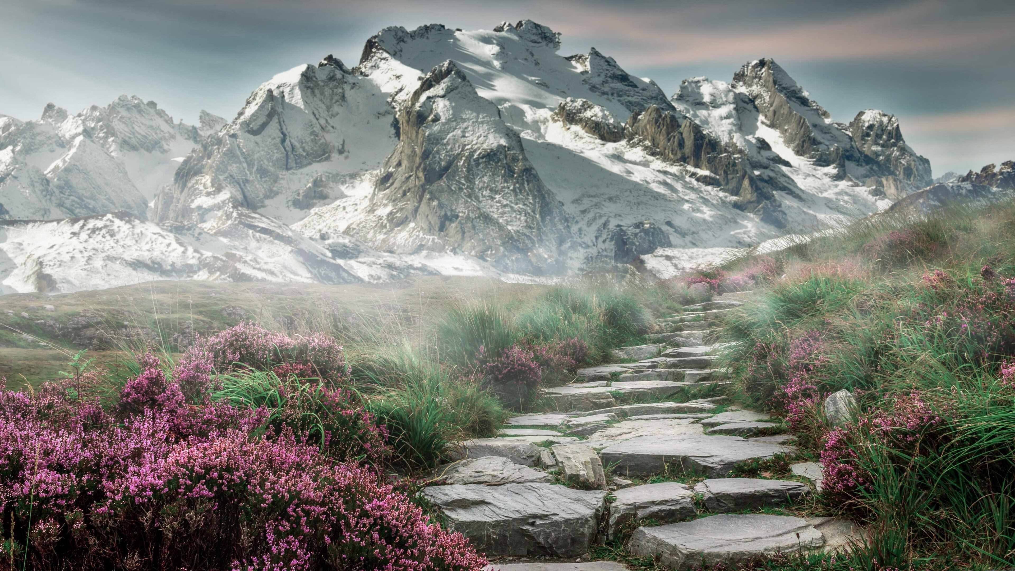 德罗赞加时赛统治级表现！浙江队逆转骑士夺国际俱乐部锦标赛冠军