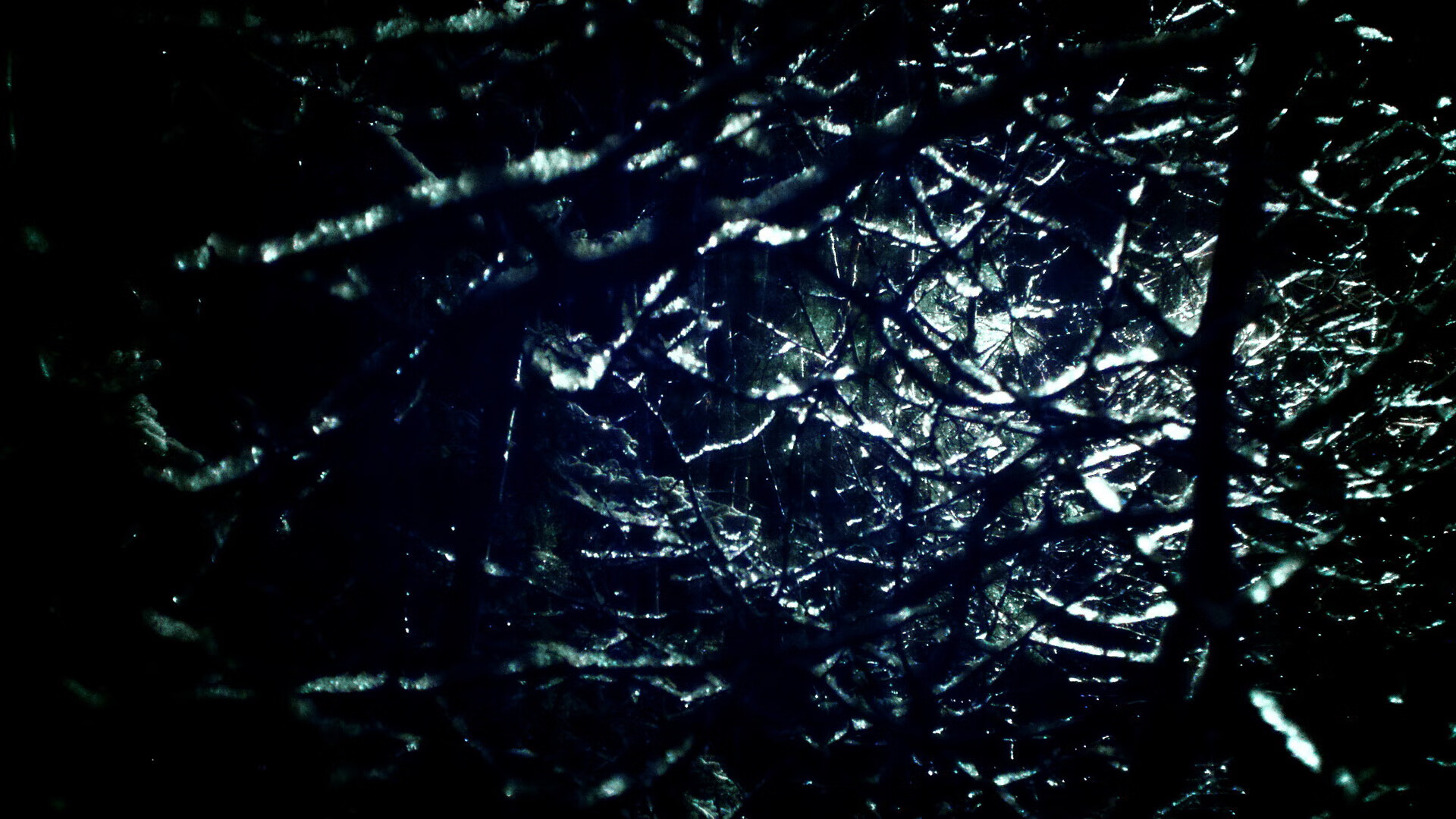 铁翼横空横扫，獭兔惊雷裂天，当塔图姆的鹰翅掠过广厦苍穹