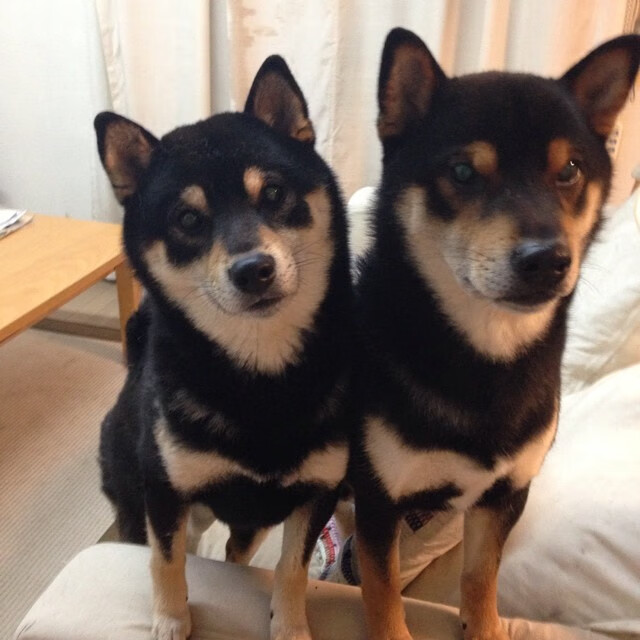 惊天交易后首战！詹姆斯身披勇士战袍力克旧敌灰熊