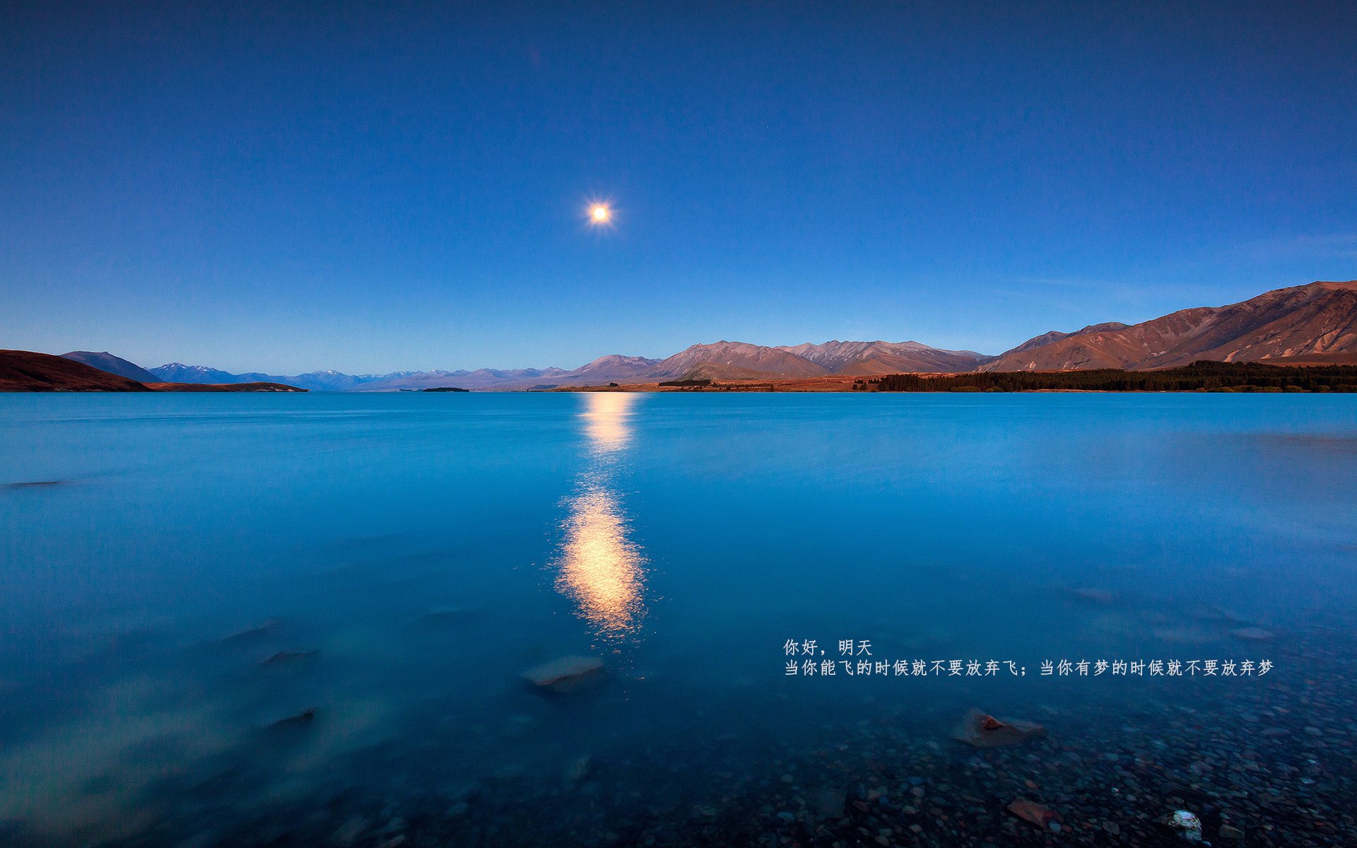 引擎咆哮，街道对决，比利时战术风暴如何全面压制南非