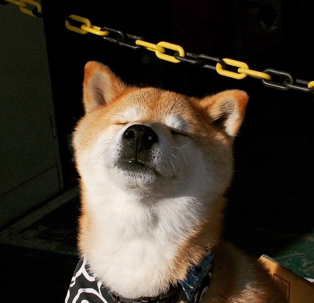 终场哨响金字塔，埃及逆转紫百合，卡塞米罗于美加墨加冕