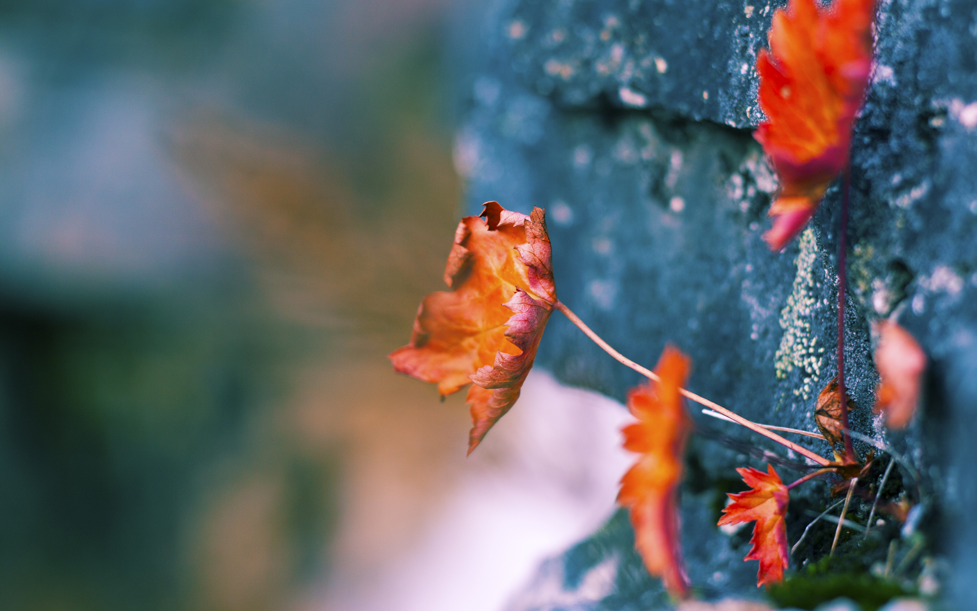 穆勒的艺术，挪威的呐喊，当攻防转换成为撕裂时代的利刃