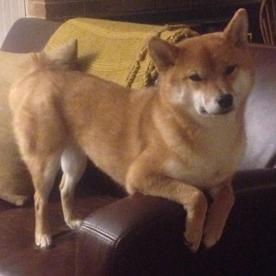 绿茵寓言,贝蒂斯的险胜与阿什拉夫的加冕—足球如何书写它的答案