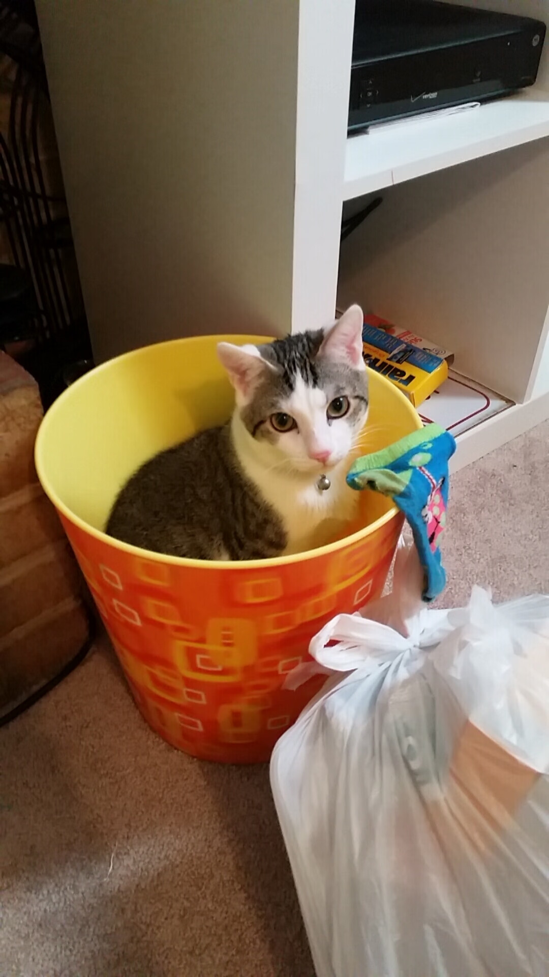 两大赛场双线狂飙，F1新赛季揭幕战惊心动魄，上海队压哨绝杀创造历史