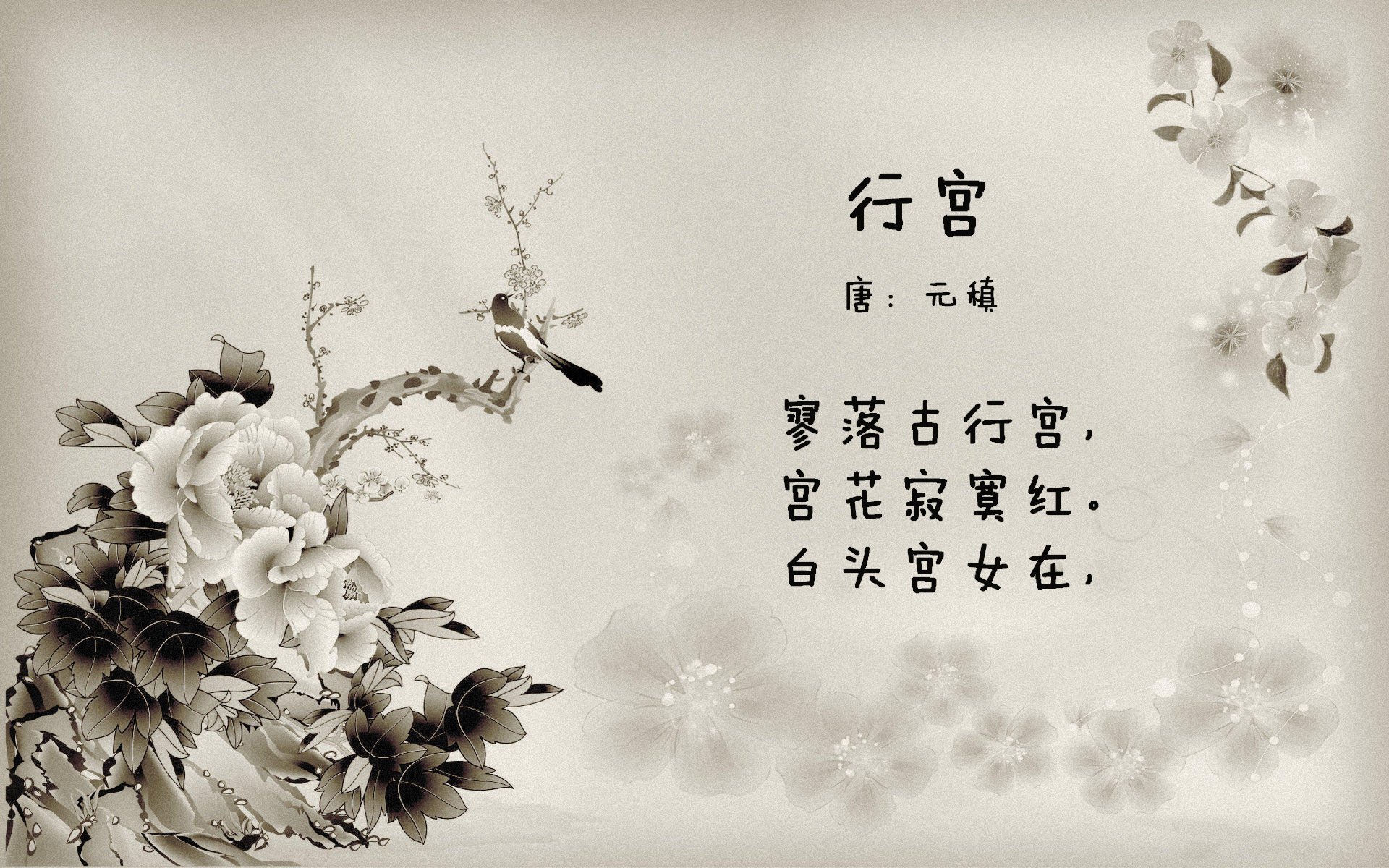 新生代控卫的巅峰对决，莫兰特狂飙主宰鹈鹕雷霆之战