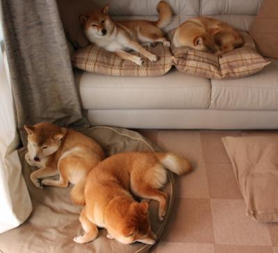 76人淘汰赛过关深圳队，杰伦格林稳定输出不掉线