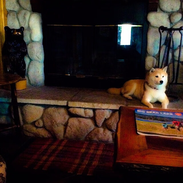 季后赛抢七焦点战，76人强势完胜广厦队，晋级之路再添辉煌