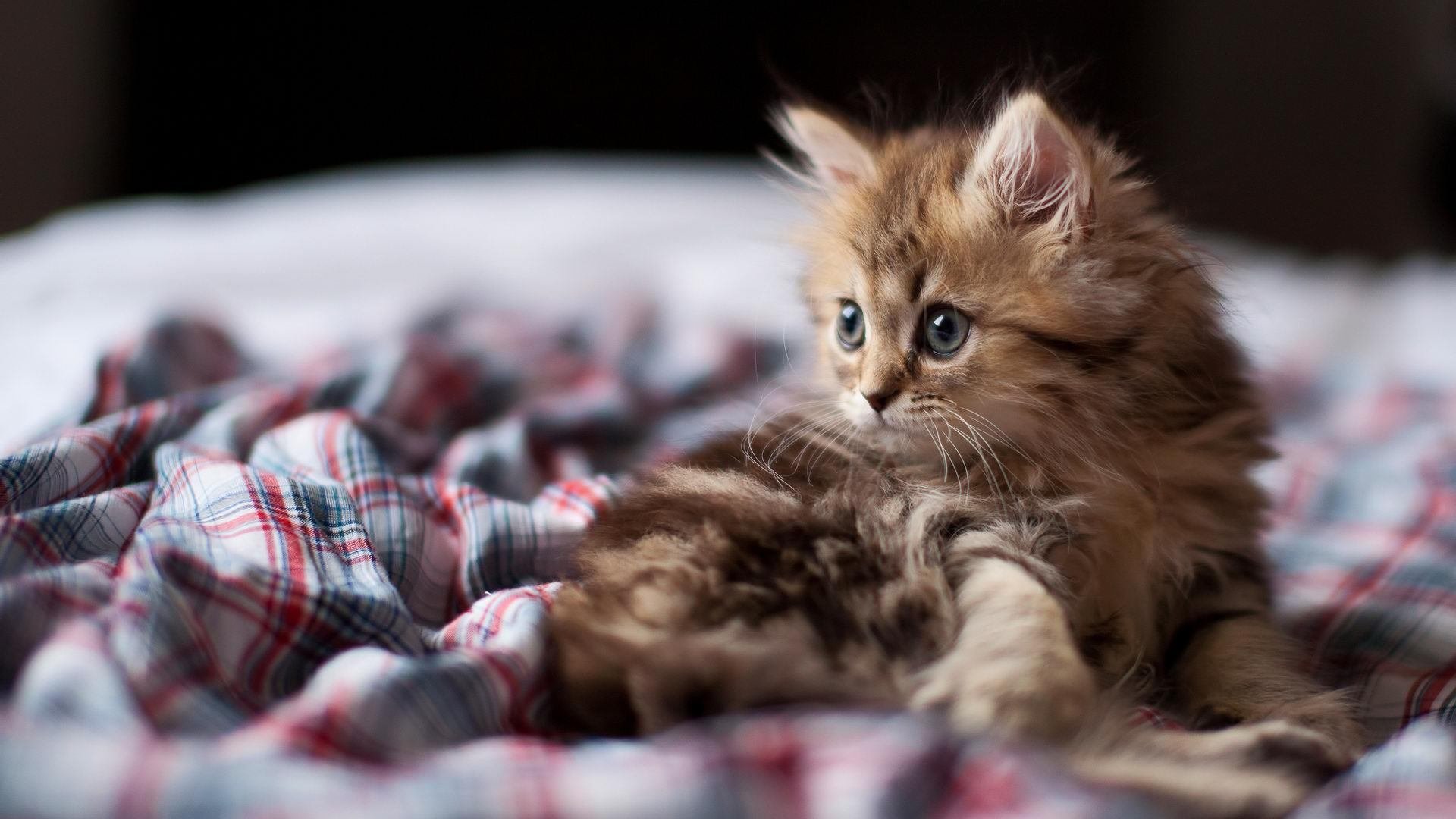内马尔灵光一现，乌拉圭铁血防反斩落黑马匈牙利