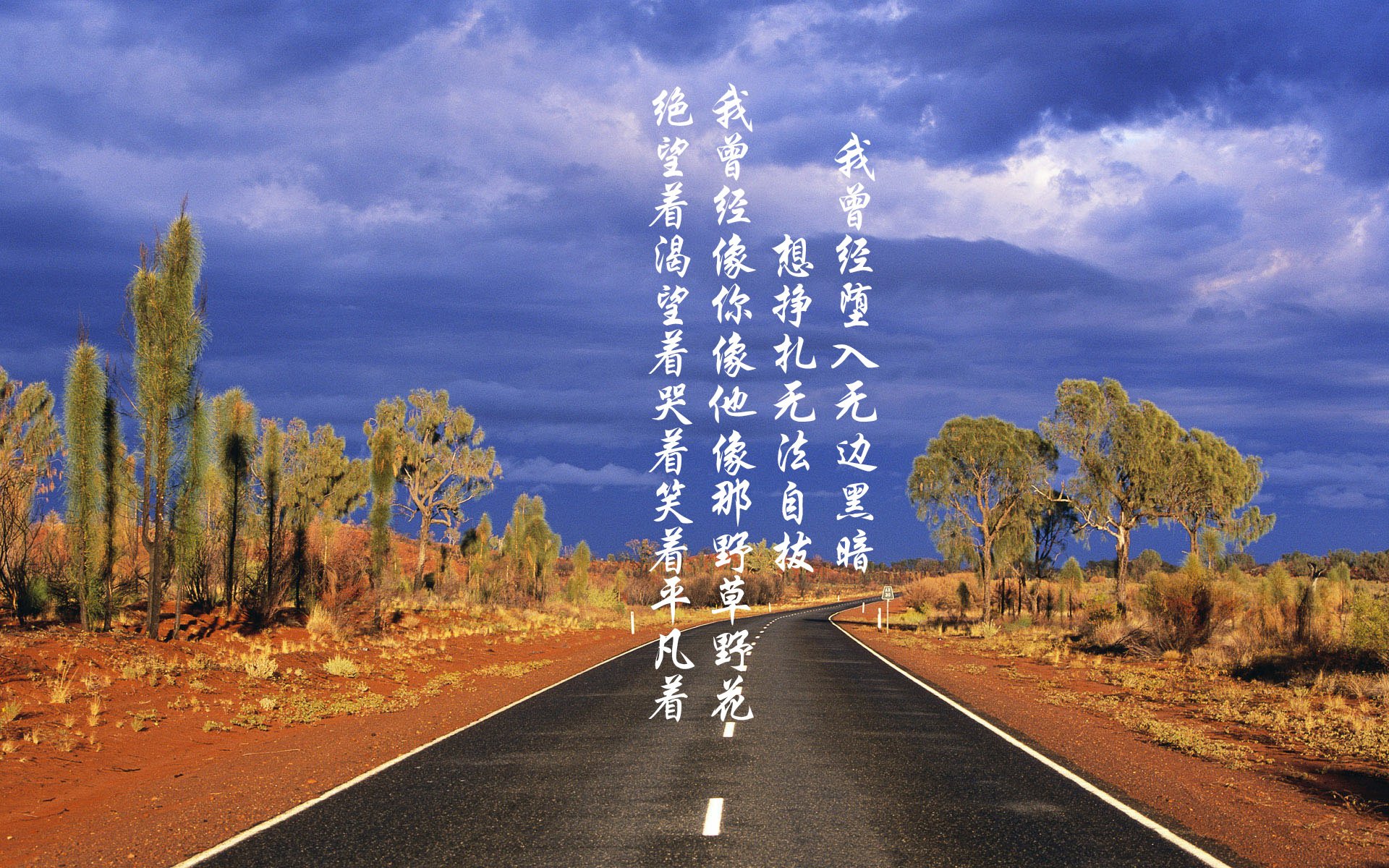 2026世界杯巅峰对决，阿联酋碾压意大利，阿方索·戴维斯闪耀全场，节奏掌控书写传奇